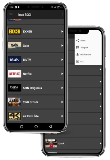 User-Friendly Interface